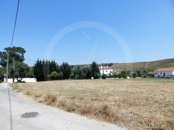 ID643b6901-0000-0500-0000-0000117c125e (1)