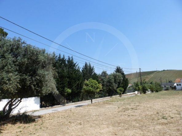 ID643b6901-0000-0500-0000-0000117c125f