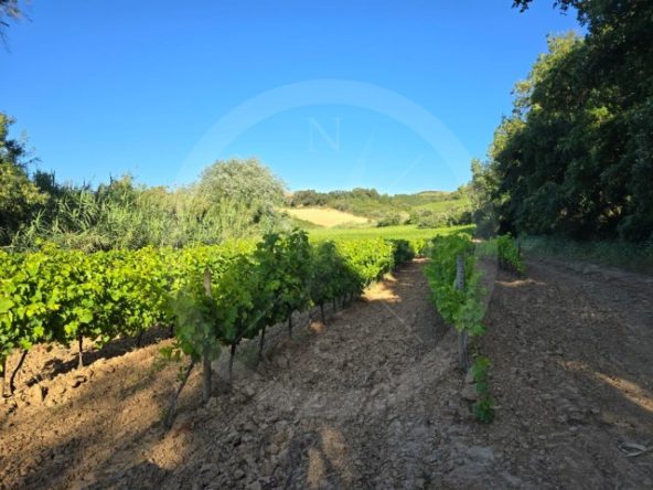 ID01ce7e01-0000-0500-0000-0000135a2a24