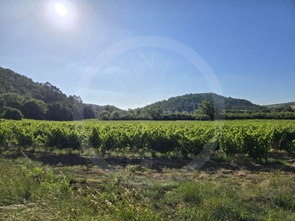 ID01ce7e01-0000-0500-0000-0000135a2a28