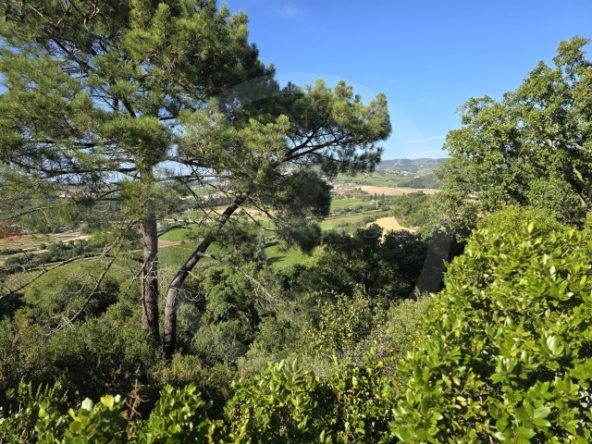 ID01ce7e01-0000-0500-0000-0000135a2a2a