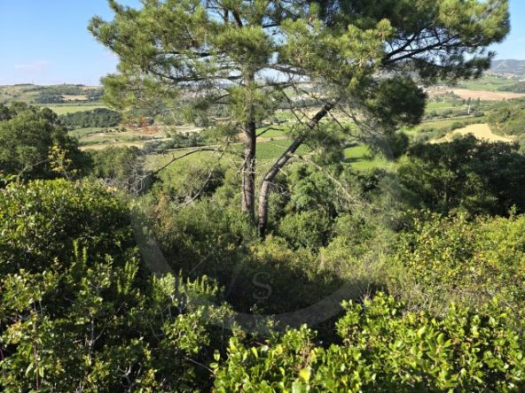 ID01ce7e01-0000-0500-0000-0000135a2a2c