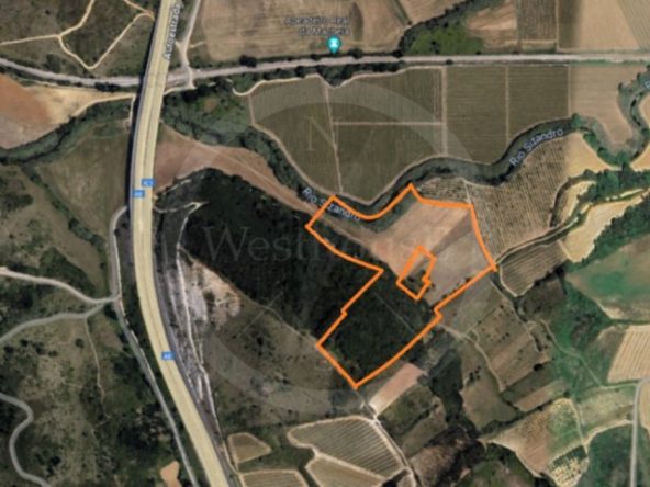 ID01ce7e01-0000-0500-0000-0000135a2a31