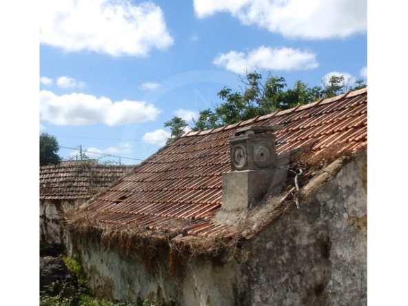 ID55577f01-0000-0500-0000-000013678ee0