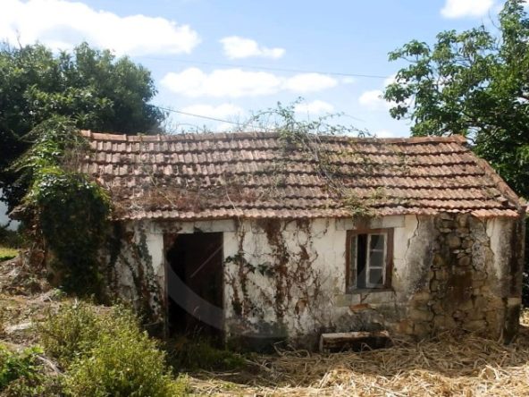 ID55577f01-0000-0500-0000-000013678ee2