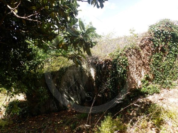 ID55577f01-0000-0500-0000-000013678ee4