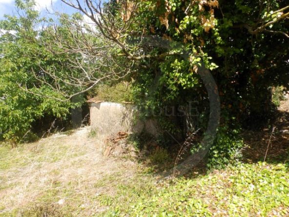 ID55577f01-0000-0500-0000-000013678ee5