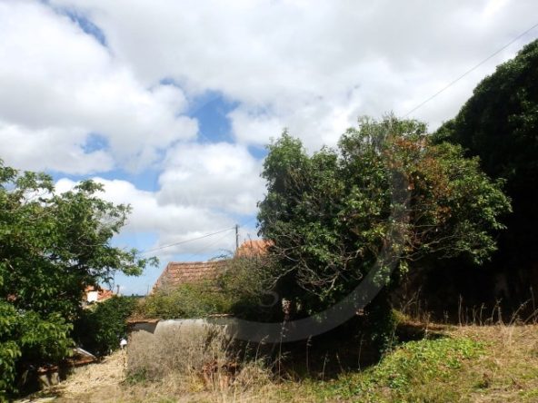 ID55577f01-0000-0500-0000-000013678ee8