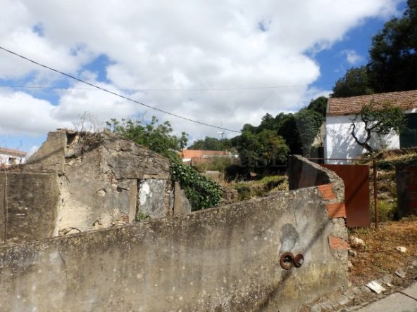 ID55577f01-0000-0500-0000-000013678eea