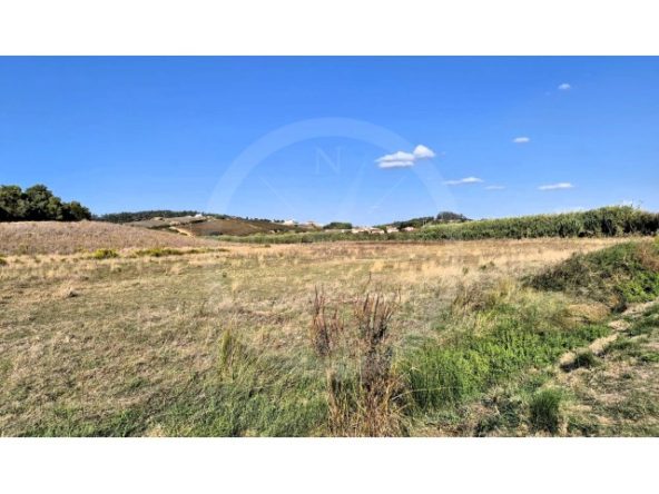 IDcfc0c101-0000-0500-0000-0000188b98c0