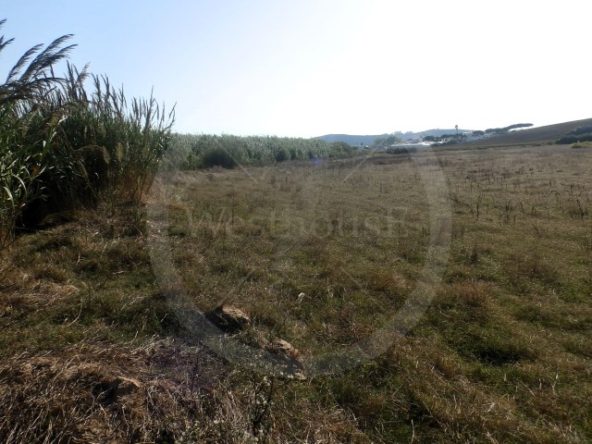 IDcfc0c101-0000-0500-0000-0000188b98c1