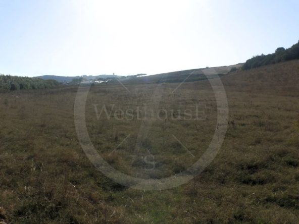 IDcfc0c101-0000-0500-0000-0000188b98c2