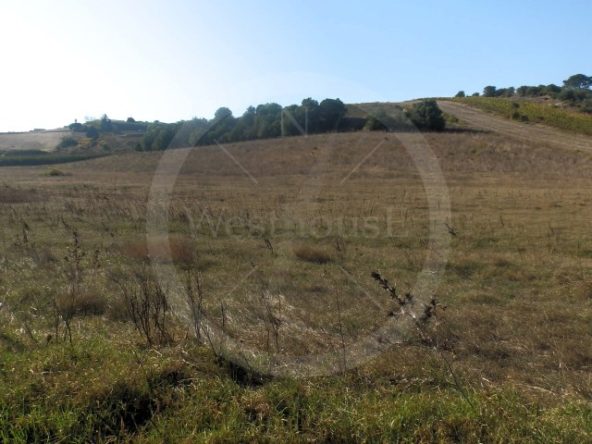 IDcfc0c101-0000-0500-0000-0000188b98c3