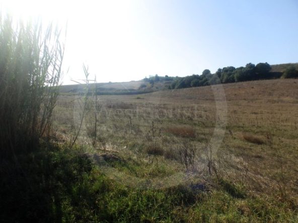 IDcfc0c101-0000-0500-0000-0000188b98c4