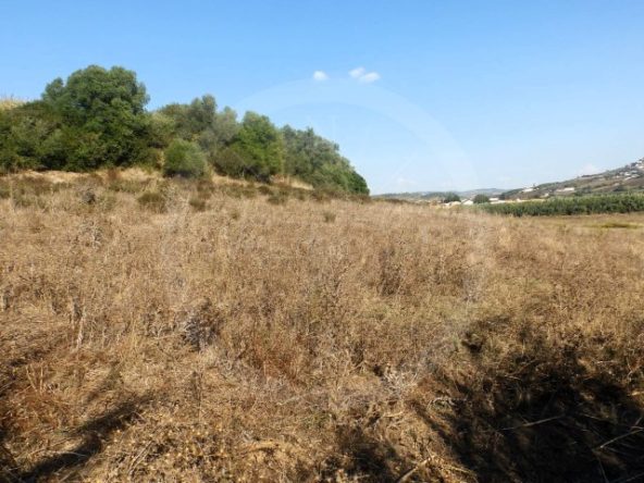 IDcfc0c101-0000-0500-0000-0000188b98c5