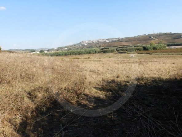 IDcfc0c101-0000-0500-0000-0000188b98c6